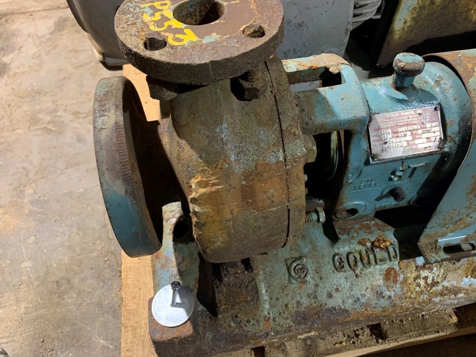 Goulds 3196ST 3x1.5-6 DI Centrifugal Pump with Westinghouse 10 H ...